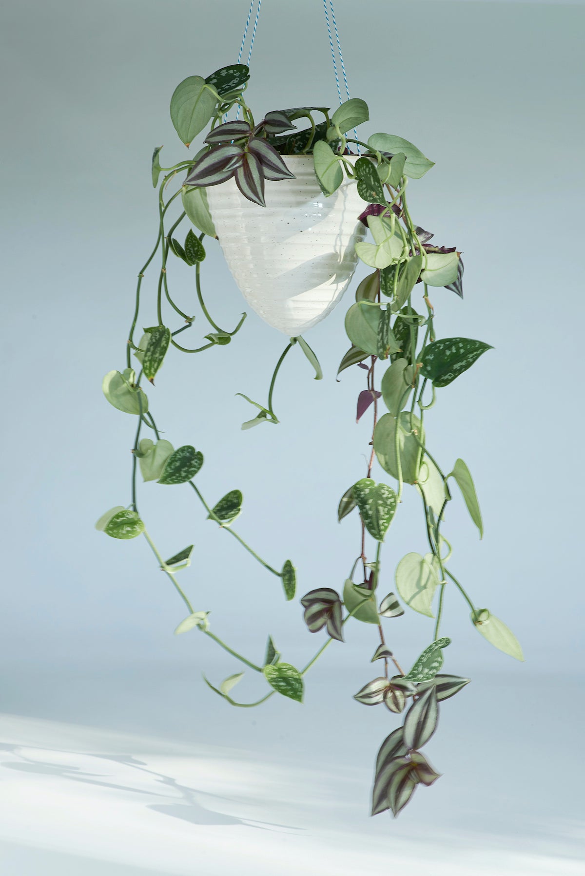 Hanging Planter