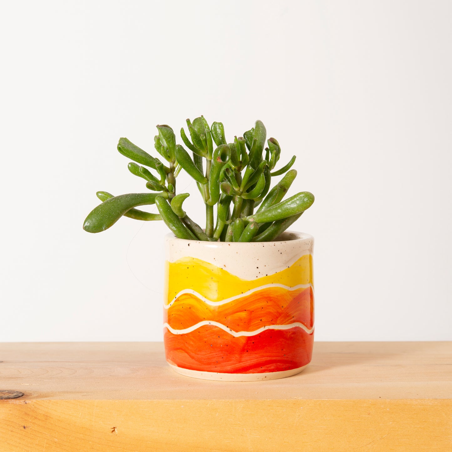 Mini Happy Hour Planters