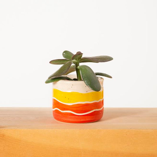 Mini Happy Hour Planters