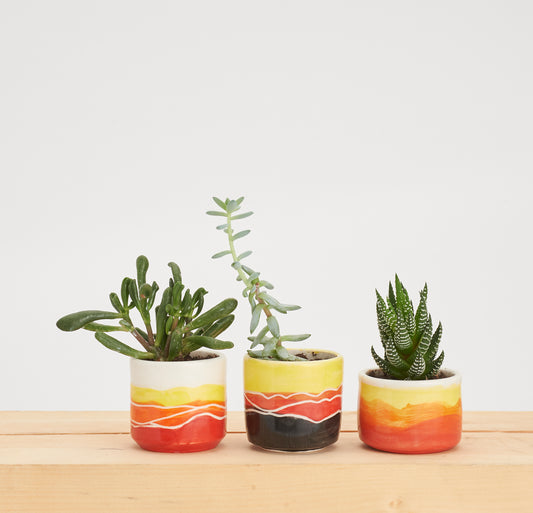 Mini Planters