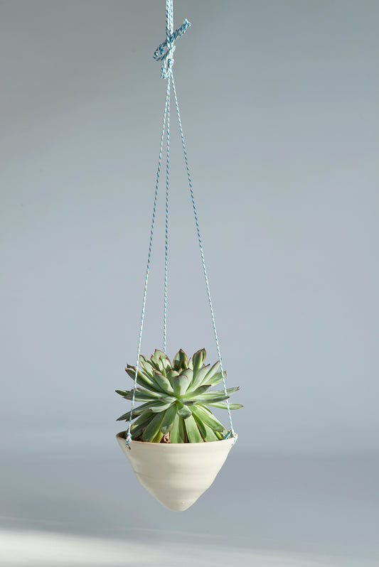 Hanging Planter